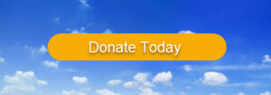 Donate today button